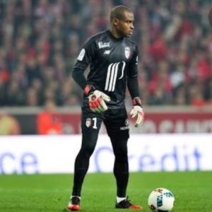 Vincent Enyeama earns praise from Brazilian forward