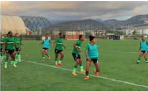 International friendly: Five observations from Super Falcons' 2-0 loss to Japan