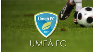 Swedish club sign Nigerian defender from Finland