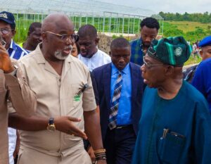 Former NFF President And FIFA Council Member Amaju Pinnick Sets Eyes On Agro Allied Industry