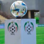 NPFL warns clubs over inappropriate practices of coaches, players, ball boys