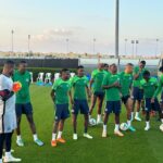 AFCON'23: Jose Peseiro gives reasons why Nigeria fall to Guinea