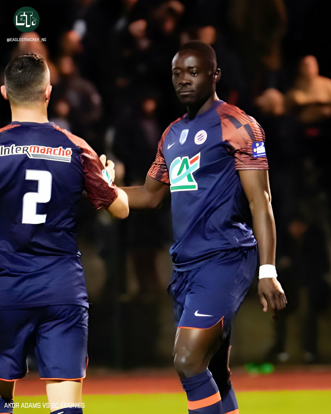 Coupe De France:  Adams propels Montpelier to win