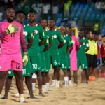 NFF begins Supersand Eagles’ coach search, calls for application